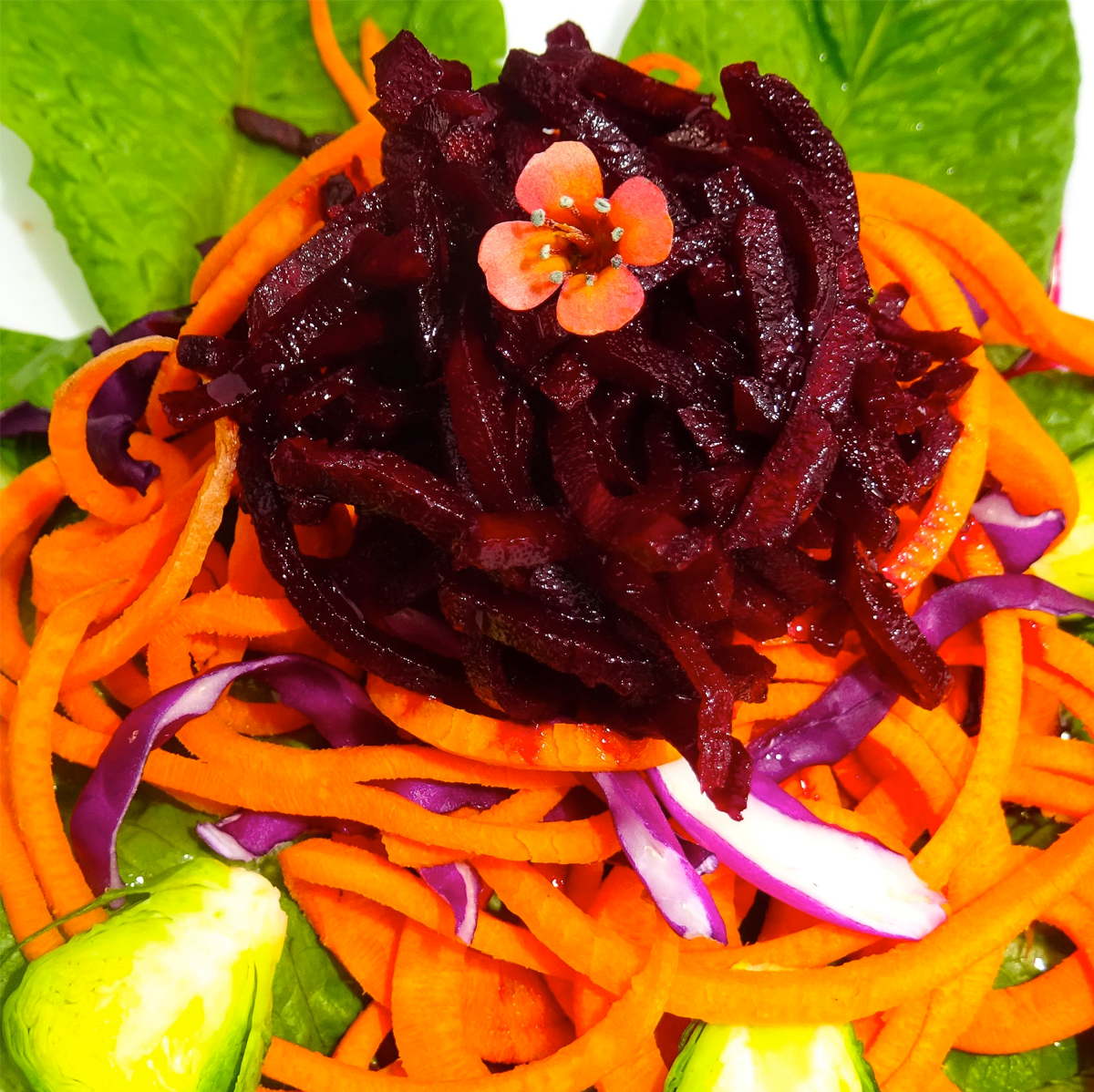 Spiralz Organic Fermented Spanish Beetroot